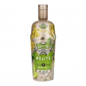 Coppa Mojito Cocktail