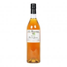 Massenez Elderflower Liqueur