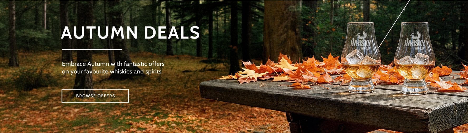 Autumn Offers
